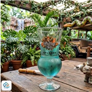 Taça de Vidro Rainforest Café
